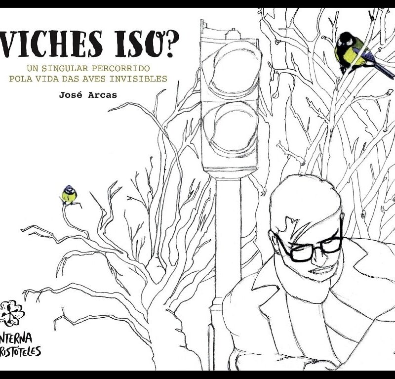 VICHES ISO?