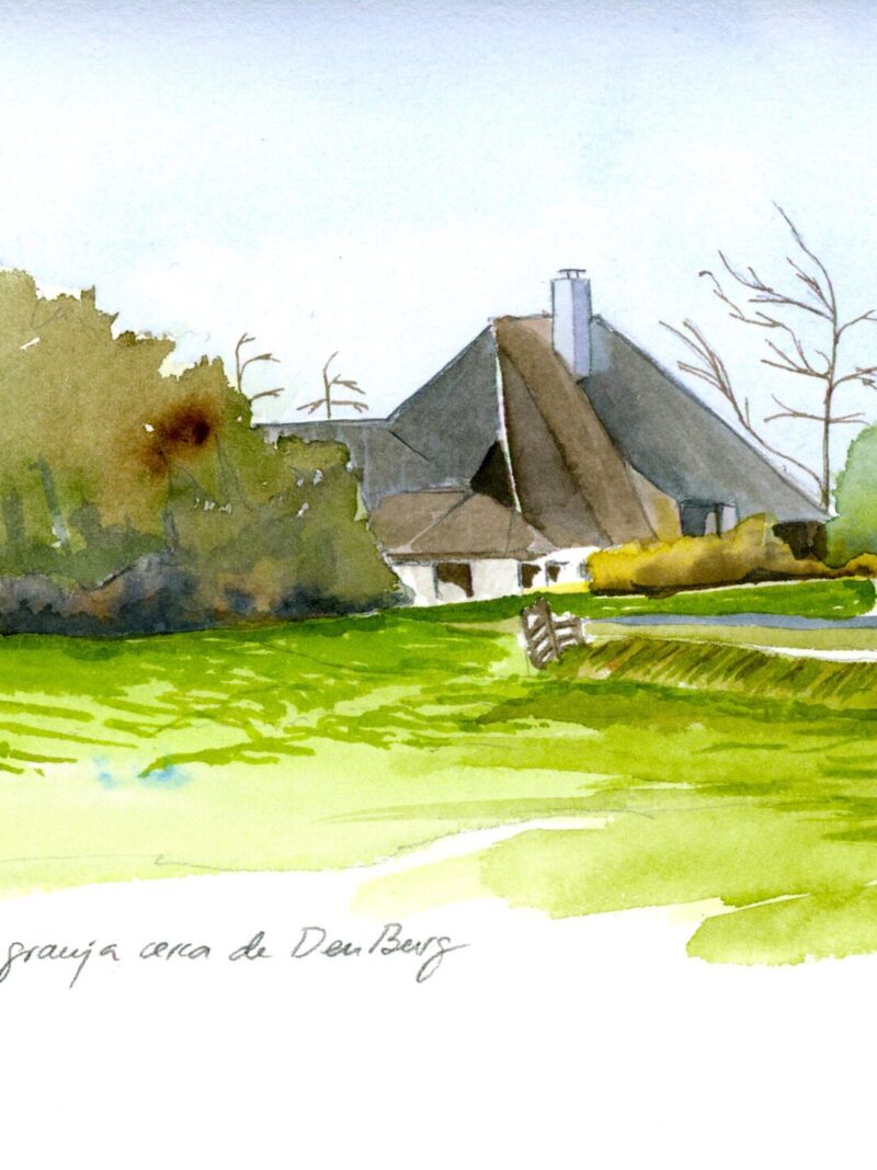 Cisne y granja en Texel