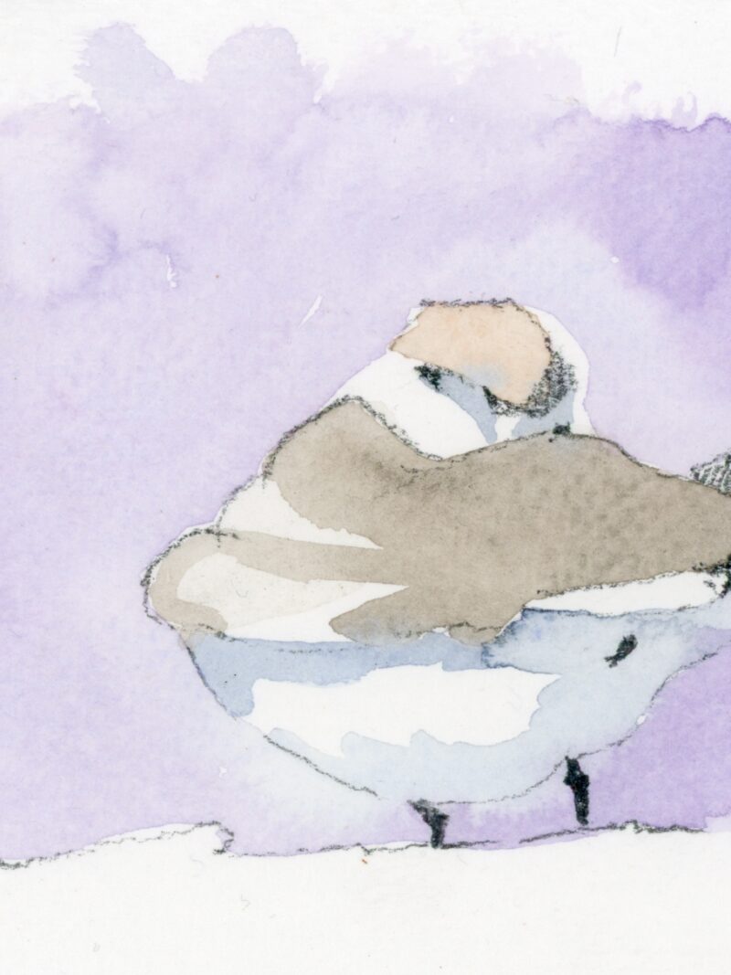 Patinegro (3)