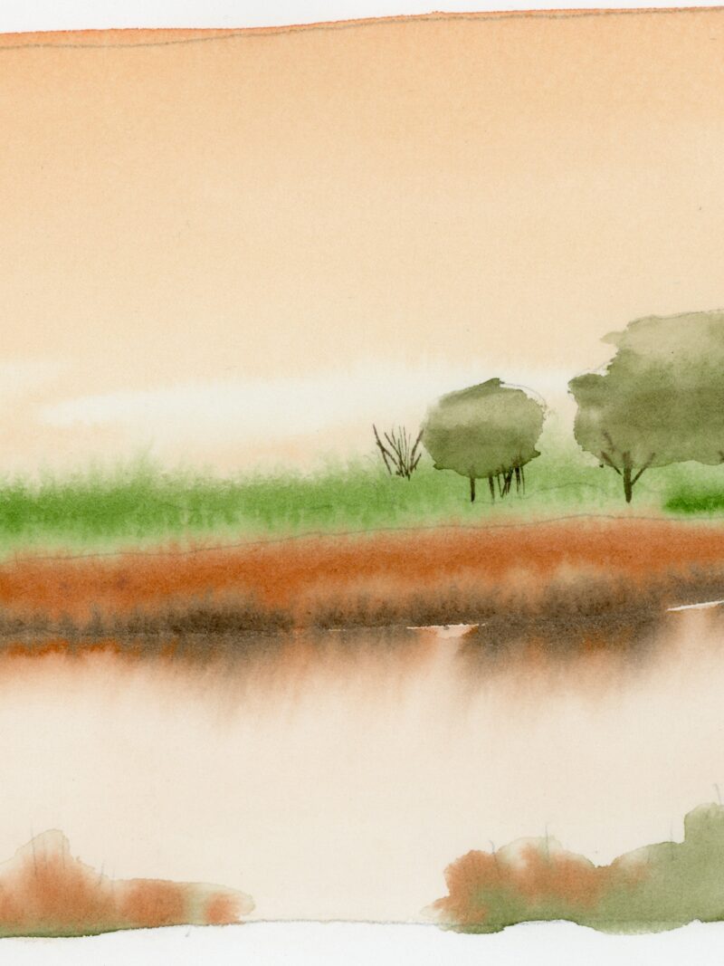 Estuario del Miño (1)