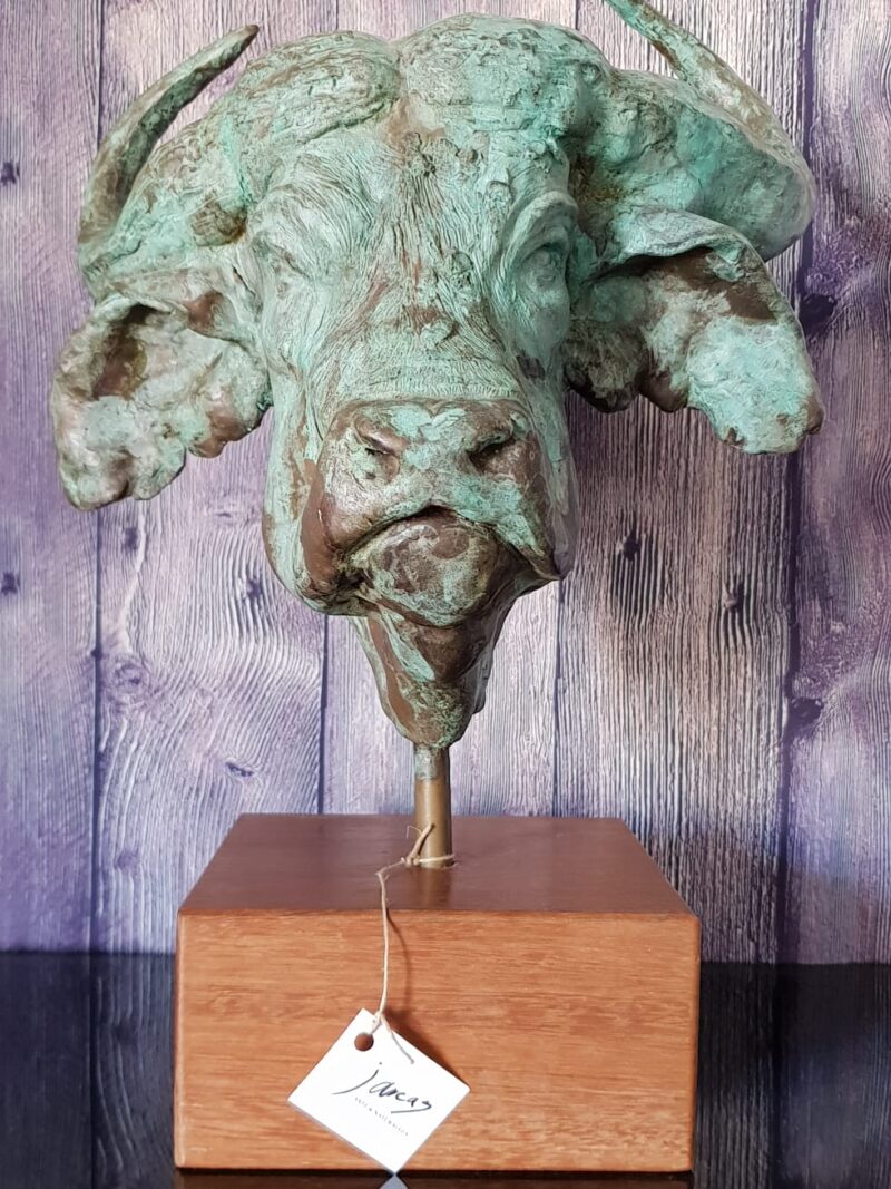 Busto en bronce de Búfalo africano.