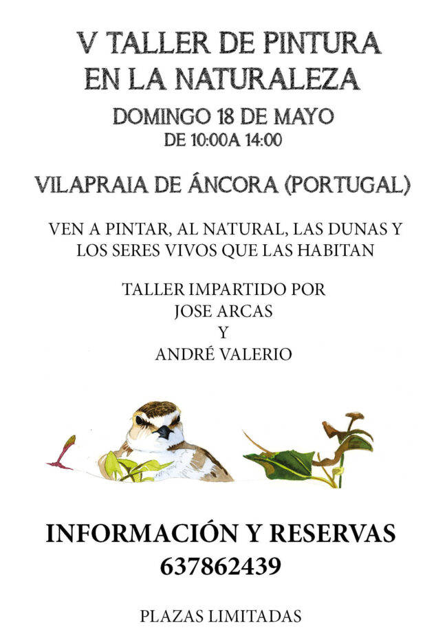 CARTELON V TALLER ESPAÑOL