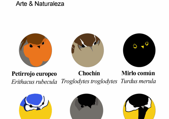 Lote de 6 chapitas Aves de Bosque 1