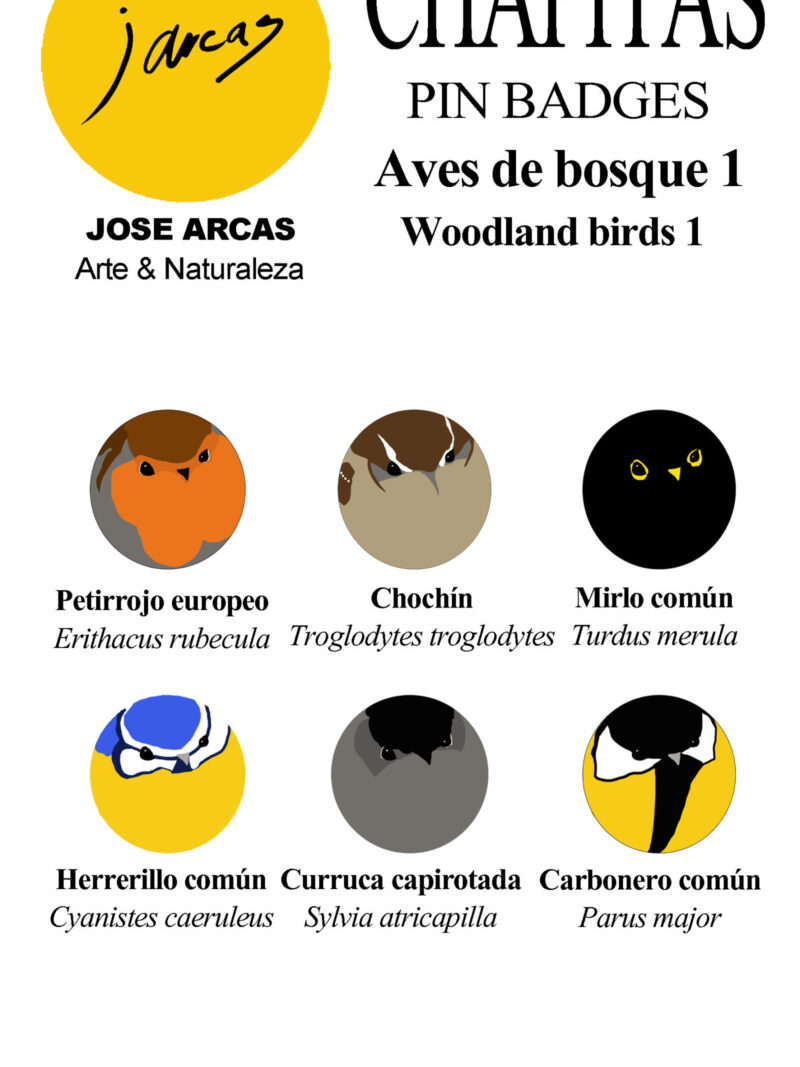 Chapitas Aves de Bosque 1