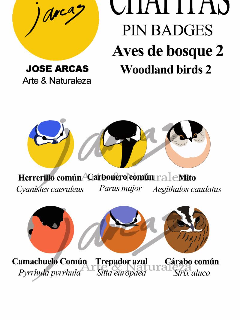 Chapitas Aves de Bosque 2