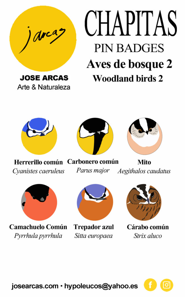 CARTULINA AVES DE BOSQUE 2