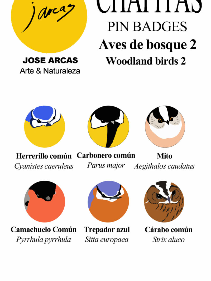 Chapitas Aves de Bosque 2