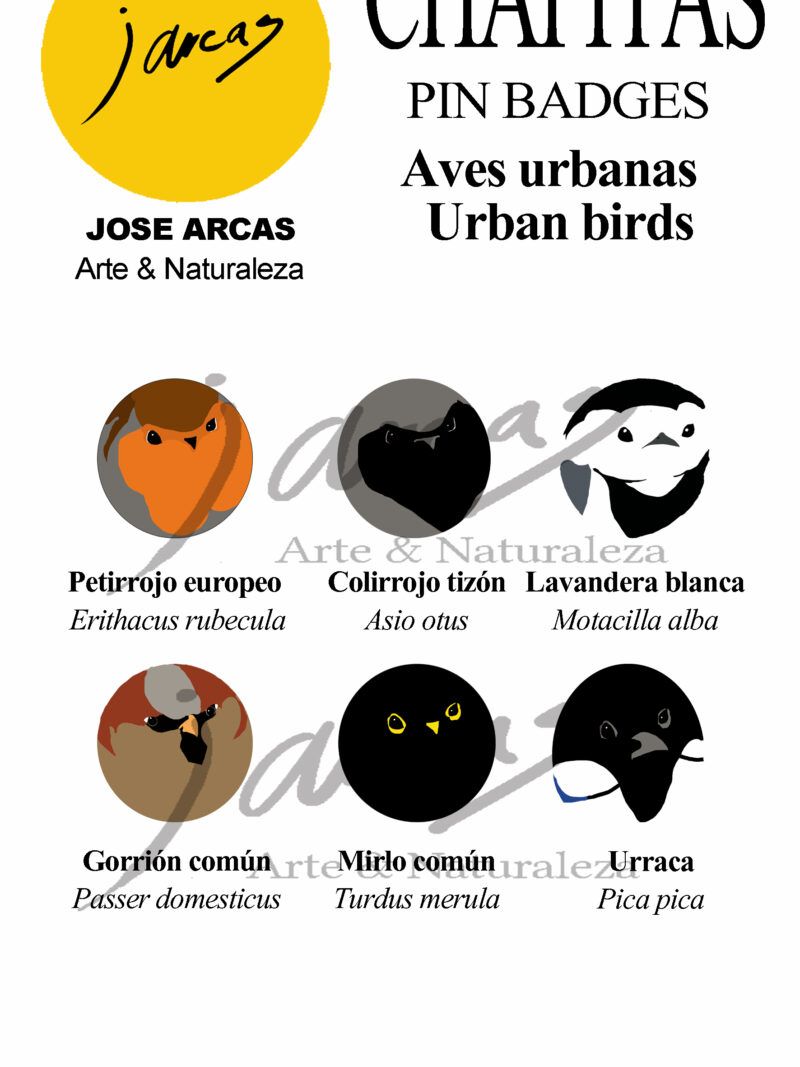 Chapitas Aves urbanas