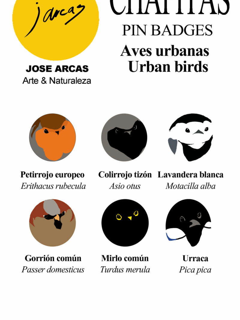 Chapitas Aves urbanas