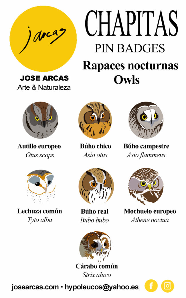 CARTULINA RAPACES NOCTURNAS