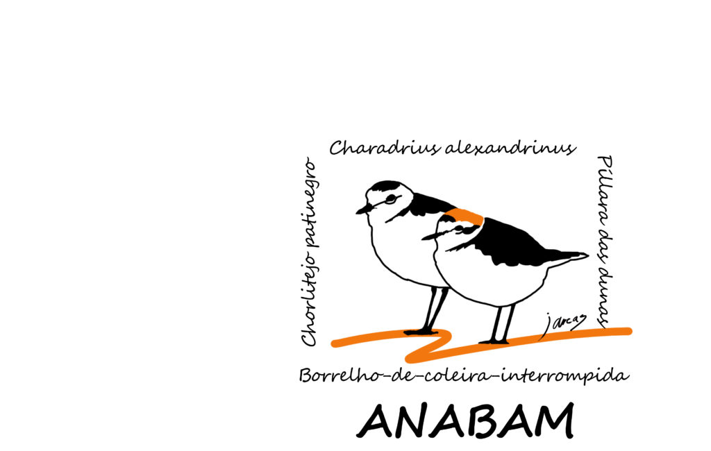Diseño de Chorlitejos patinegros para Asociación Naturalista do Baixo Miño ANABAM