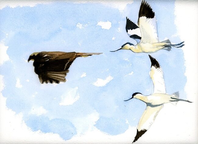 IMG_20210517_220442_484