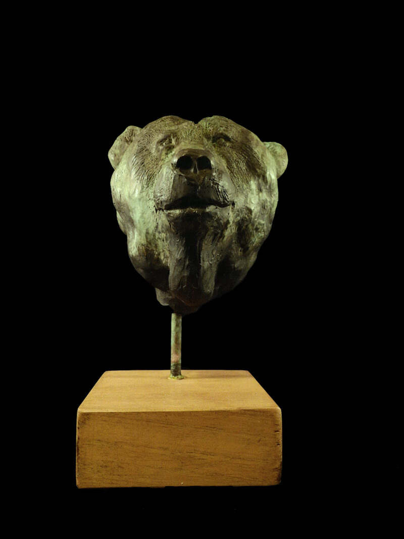 Bronce de Oso pardo cantábrico