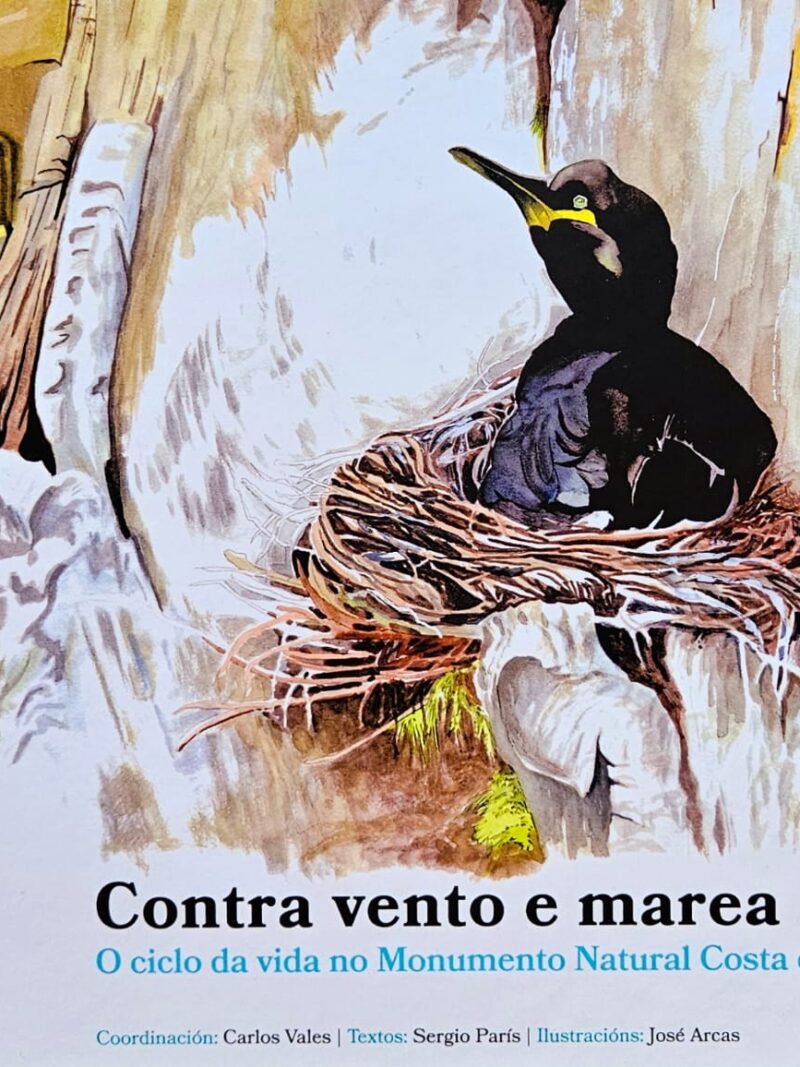 Contra Vento e Marea. O ciclo da vida no monumento natural de Costa de Dexo-Serantes