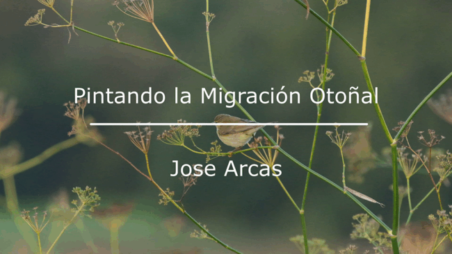 PORTADA PASO OTOÑAL