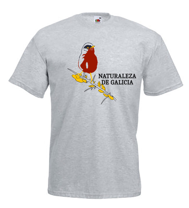 Rabilarga CHICO GRIS GRANDE