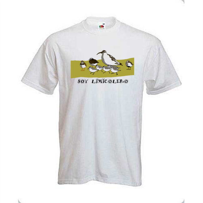 camiseta chico buena