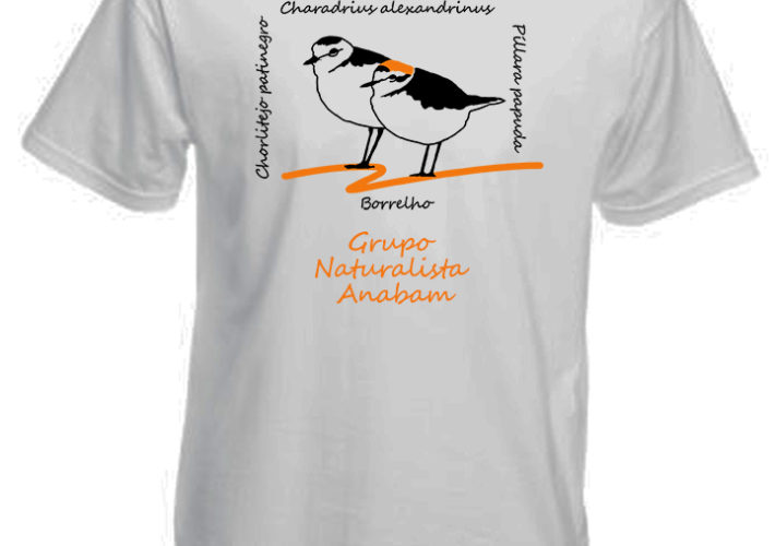 Camiseta Píllara das dunas