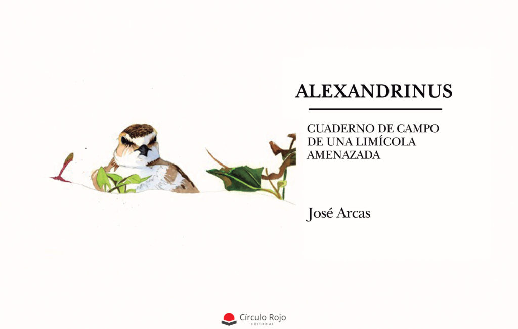 «ALEXANDRINUS. Cuaderno de Campo de una limícola amenazada»