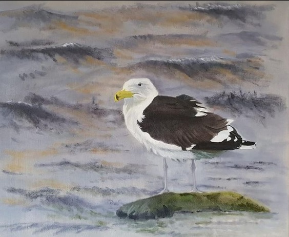 Gavión atlántico (Larus marinus)