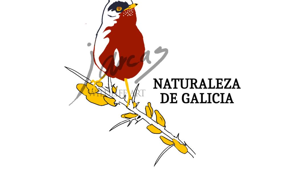 CAMISETA NATURALEZA DE GALICIA