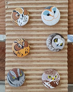 Lote de 6 Chapitas Rapaces nocturnas