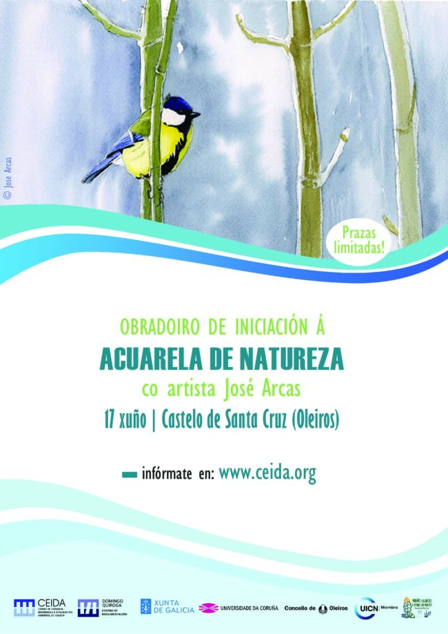 taller acuarela natureza jose arcas