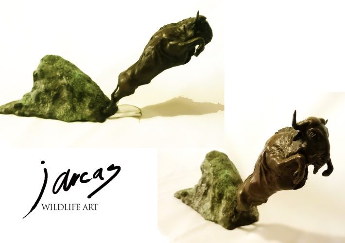 Ñu (Connochaetes taurinus)